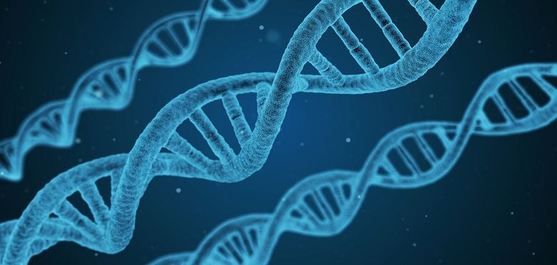 Slovenský startup DNA ERA, který i v Česku prodává německé genetické testy, vybral na platformě Crowdberry téměř 10 milionů Kč a chystá se do Polska
