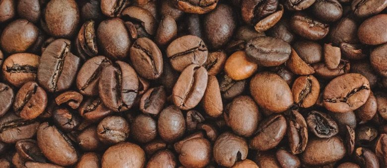Káva jako nakopávák. Kofein ale může posloužit i jinak, třeba při ochraně dřeva