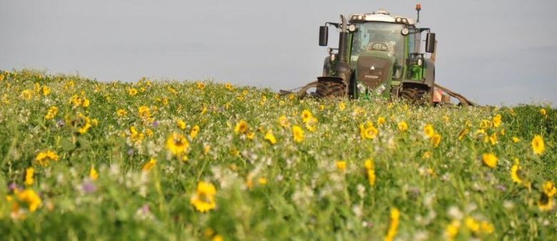 Zemědělci ukládají CO2 do půdy. Za uhlíkové „odpustky“, které si u startupu kupují velké firmy